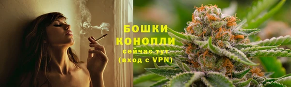 mdpv Белокуриха