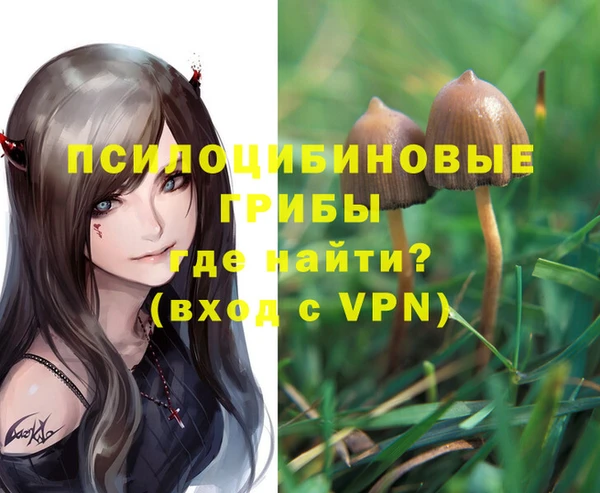 дживик Покров