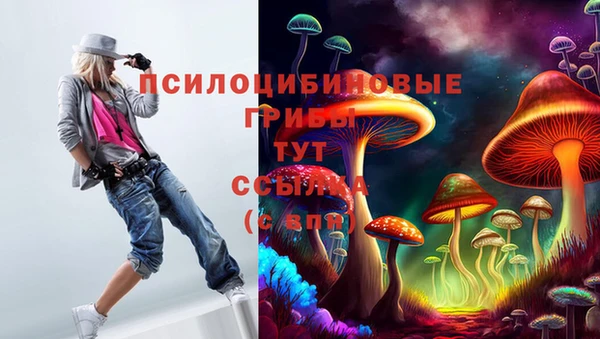 дживик Покров