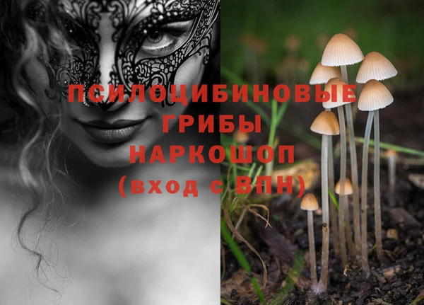 mdpv Белокуриха