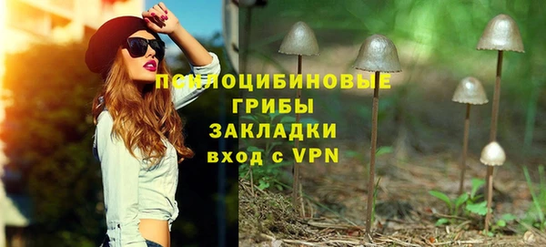 mdpv Белокуриха